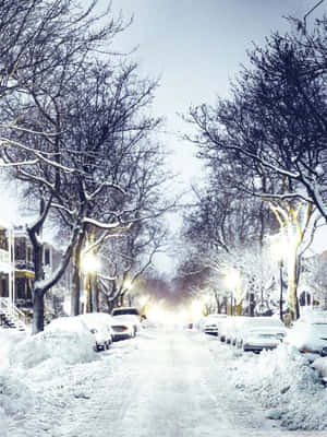 被雪覆蓋的城市街道，光禿禿的樹木和停放的汽車，在暮色中閃爍的路燈下。 — 冬季風景 壁紙