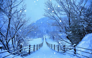 被雪覆蓋的木橋蜿蜒穿過冬季森林，雪花飄落。 — 冬季風景 壁紙