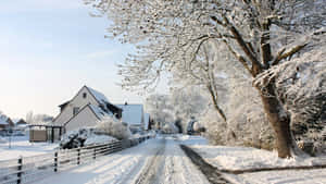 被雪覆蓋的村莊道路，結霜的樹木和房屋，清澈的藍色天空。 — 冬季風景 壁紙