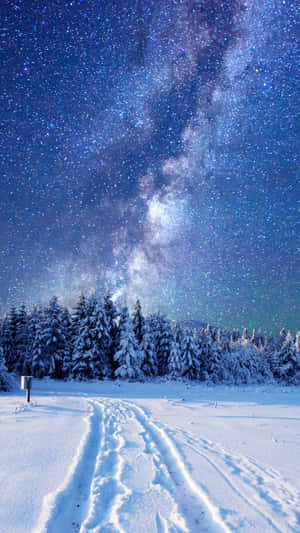 在可見銀河的星空下，一條被雪覆蓋的森林小徑。 — 冬季風景 壁紙