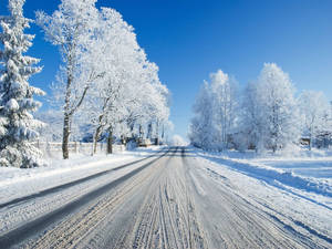 在明亮的藍天下，雪路兩旁是結霜的樹木。 — 雪景 GIF 壁紙