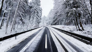 穿過冬季森林的雪路，兩旁有高大的樹木。 — 冬季風景 壁紙
