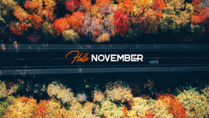 穿過色彩繽紛的秋樹的道路鳥瞰照片，帶有「Hello NOVEMBER」文字。 — 十一月 壁紙