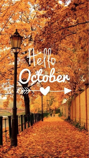 秋季步道鋪滿落葉，帶有「Hello October」文字和心形箭頭。 — 橘色城市 壁紙