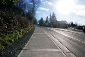 一條設有人行道的柏油道路在明媚陽光下蜿蜒穿過樹林地區。 — 低調 壁紙