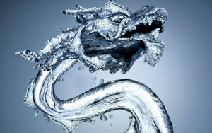 一條由流動的水形成的龍，帶有水滴和反射表面。 — 水龍 壁紙