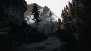 霧氣瀰漫的森林小徑，石頭廢墟和高大的松樹 — 電玩遊戲 GIF 壁紙