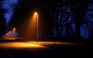 夜晚一條寧靜的霧氣小徑，路燈照亮，兩旁是光禿禿的樹木。 — 光線 壁紙