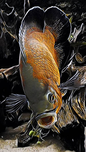 一條色彩繽紛的魚，帶有精細的鱗片和流暢的魚鰭，在水下場景中。 — 金魚 壁紙