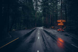 一條黑暗的森林道路，有一個發光的橙色標誌寫著你的GPS錯了。 — 街頭 壁紙