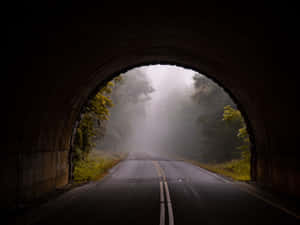 一條道路從隧道中出現，進入黎明時分的霧氣森林。 — 魔法森林 壁紙