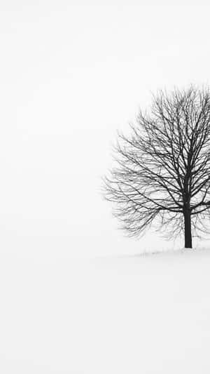 灰色天空下雪地中孤獨的光禿樹木 — 白色 iPhone 壁紙