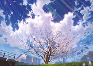 一棵光禿禿的樹在田野中，上方是帶有陽光和雲朵的明亮藍天。 — 樹木 壁紙