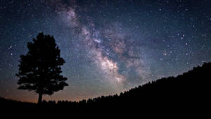 一棵孤樹映襯著滿天星斗的夜空，銀河清晰可見。 — 銀河 壁紙