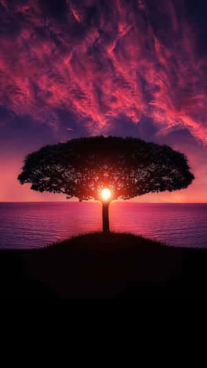 夕陽下粉紅和紫色天空與平靜水面上的懸崖上的一棵孤樹。 — 海洋 壁紙