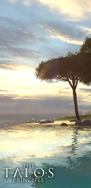 夕陽下岩石海灘上的一棵孤樹，水面平靜倒映。 — 電玩遊戲 GIF 壁紙