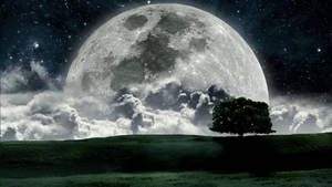 孤樹在星空夜空雲層下的巨大月亮 — 月光 壁紙