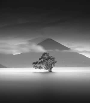 平靜水面上的一棵孤樹，背景有山。 — 小米 Mix Fold 4 壁紙