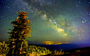 一棵高大的松樹矗立在繁星點點的夜空下，銀河在遠山上方清晰可見。 — 夜晚 壁紙