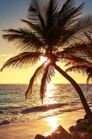 熱帶海灘上金色夕陽與海浪中的棕櫚樹剪影。 — 棕櫚樹日落 壁紙