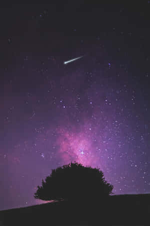 在帶有流星的紫色星空下的樹影。 — 星星 壁紙