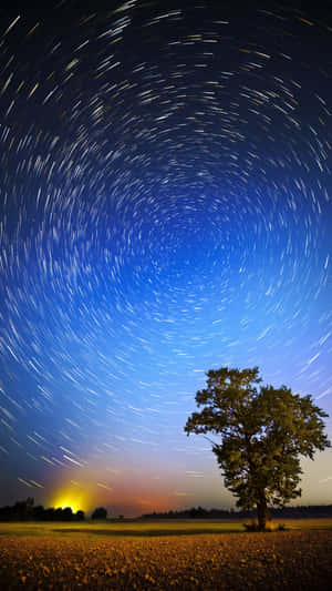 一棵孤獨的樹在田野中，下方是充滿星軌漩渦的星空。 — 1440x2560 壁紙