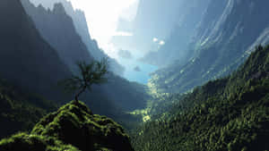 懸崖上的一棵孤樹俯瞰著山谷，山谷中有藍色湖泊和森林覆蓋的山脈。 — 1440p 壁紙