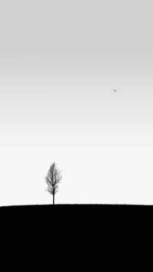 山丘上的一棵孤樹，蒼白的天空中有一隻鳥在飛翔。 — 白色 iPhone 壁紙