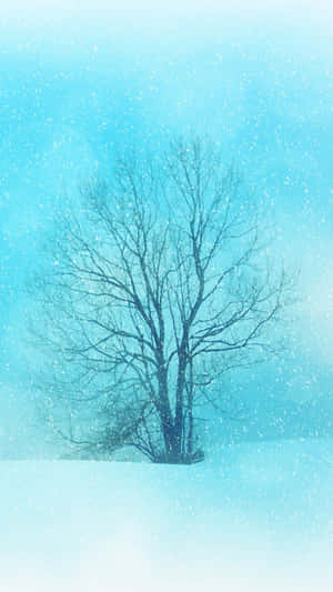 雪中孤樹，雪花飄落，襯以藍天。 — 冬季風景 壁紙