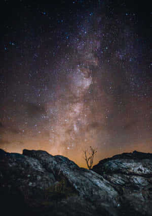 星空下岩石上的一棵孤樹與銀河 — 夜空 壁紙