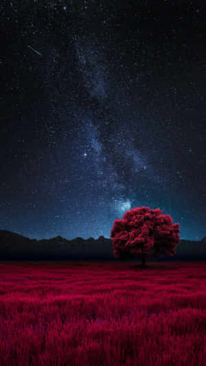 一棵紅色樹木在紅色田野上，星空夜空中有銀河。 — 樹木 壁紙