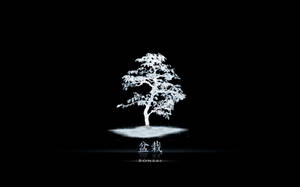 在黑色背景上，一棵發光的白色盆景樹立於霧氣繚繞的底座上，下方有文字。 — 樹木 壁紙