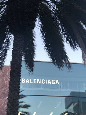 棕櫚樹在 Balenciaga 商店前，玻璃外牆和藍天。 — 巴黎世家 壁紙