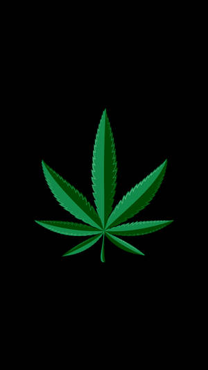 黑色背景上風格化的綠色大麻葉。 — 迷幻 壁紙