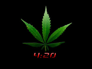 黑色背景上帶有紅色4:20文字的綠色大麻葉。 — 420 壁紙