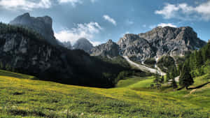 陽光照耀的草地，野花和高聳的山脈，藍天白雲。 — 山坡 壁紙