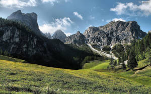 陽光照耀的草地，野花和高聳的山脈作為背景。 — 山脈 壁紙