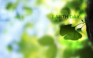 自然背景中帶有Earth Day文字的樹上的綠色銀杏葉。 — 世界地球日 壁紙