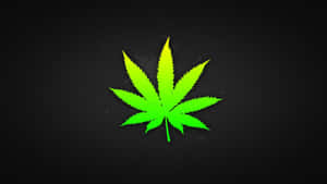 螢光綠色大麻葉在深色紋理背景上發光。 — 植物 壁紙