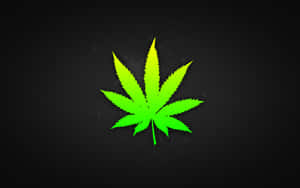 紋理黑色背景上的螢光綠色大麻葉 — 嬉皮 壁紙
