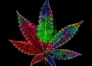 一片色彩繽紛閃亮的大麻葉在黑色背景下發光。 — 大麻 壁紙
