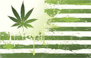 大麻葉在垃圾風格的美國國旗上滴下綠色油漆。 — 彩虹旗 壁紙