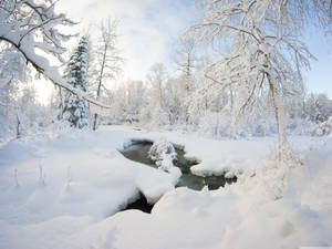 白雪覆蓋的森林，有一條蜿蜒的小溪流過深厚的積雪。 — 冬季風景 壁紙