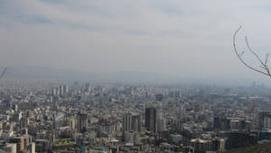 從上方俯瞰的廣闊城市景觀，前景有薄霧和光禿的樹枝。 — 德黑蘭 壁紙
