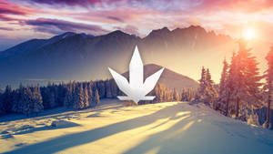 日落時分白雪覆蓋的山脈和松樹上的白色大麻葉符號。