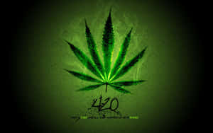 發光的綠色大麻葉，帶有煙霧和文字420，深色背景 — 植物美學 壁紙