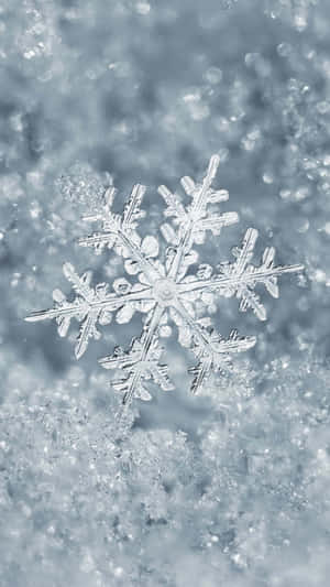 藍光下雪地上細節清晰的雪花。 — 冬季美學 壁紙