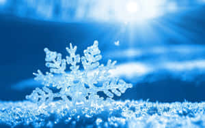 雪地上細節豐富的雪花特寫，藍天中有明亮的陽光。 — 寒冷 壁紙