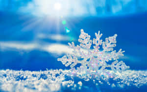 藍色冬日場景中，雪地上有詳細的雪花和明亮的陽光。 — 冬季風景 壁紙