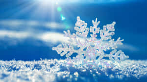 在陽光普照、藍天射線下的雪地上閃閃發光的雪花 — iMac 壁紙